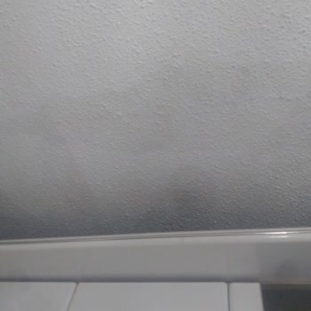 Vestel Bulaşık Makinesi Kurulum Hatası Sonrası Su Baskını Ve Hasar