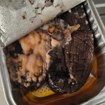 Tarihi Geçmemiş Üründe Küf Sorunu Yaşadım