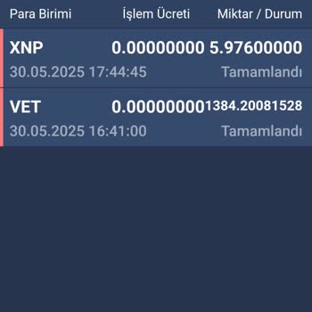 Bitexen Hesabımdaki Tüm Coinler Bilgim Dışında Transfer Edildi
