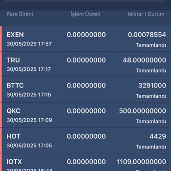 Hesabımdaki Coinler İzinsiz Transfer Edildi, Destek Alamadım