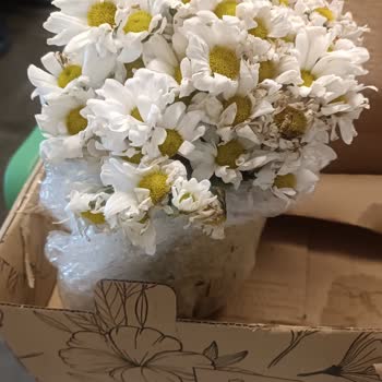 Çürük Ve Solmuş Çiçeklerle Özensiz Ürün Teslimatı