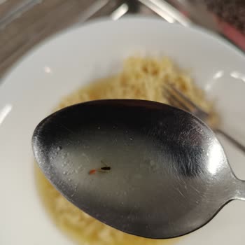 Aldığım Hazır Noodle Paketinden Böcek Çıkması Nedeniyle Hayal Kırıklığı