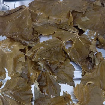 Online Alışverişte Yaşanan Olumsuz Deneyim