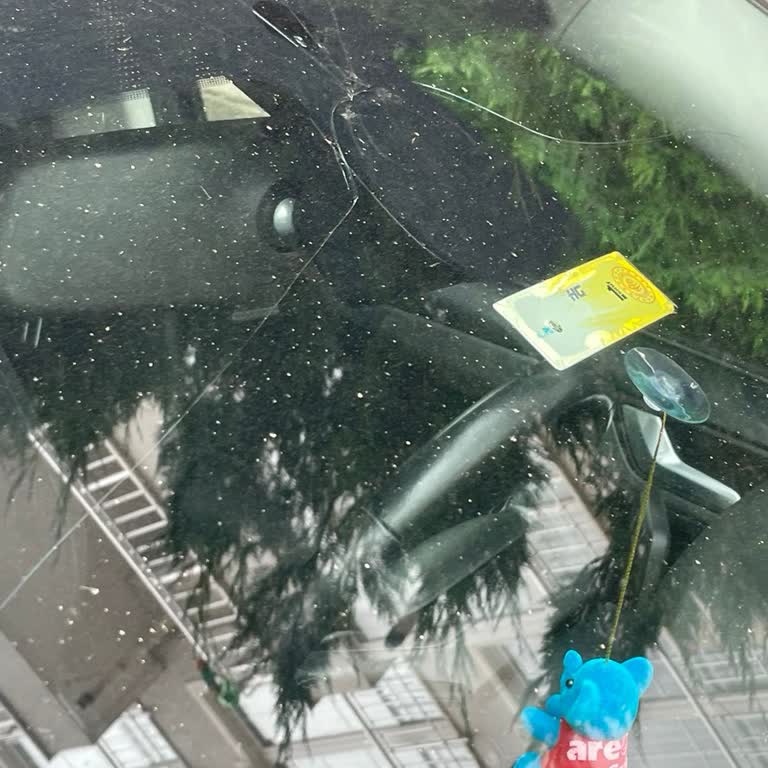 Kasko Cam Değişimi Sürecinde Keyfi Uygulamalar Ve Mağduriyet