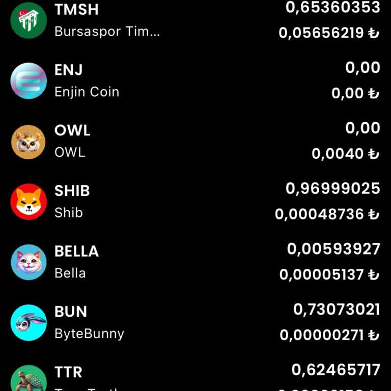 Kaldırılan Coinlerimi Bitci Global'e Aktaramıyorum Destek Yetersiz Kalıyor