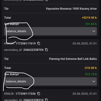 Vaycasino Kazancım Bir Anda Sıfırlandı Paramı Geri Alamıyorum