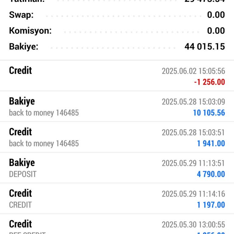 Delta N1 Capital Yanlış Yönlendirme İle Büyük Maddi Kayıp Yaşadım