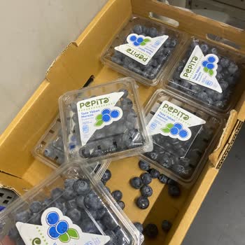 İndirimli Üründe Son Kullanma Tarihi Belirtilmemesi Mağduriyet Yarattı