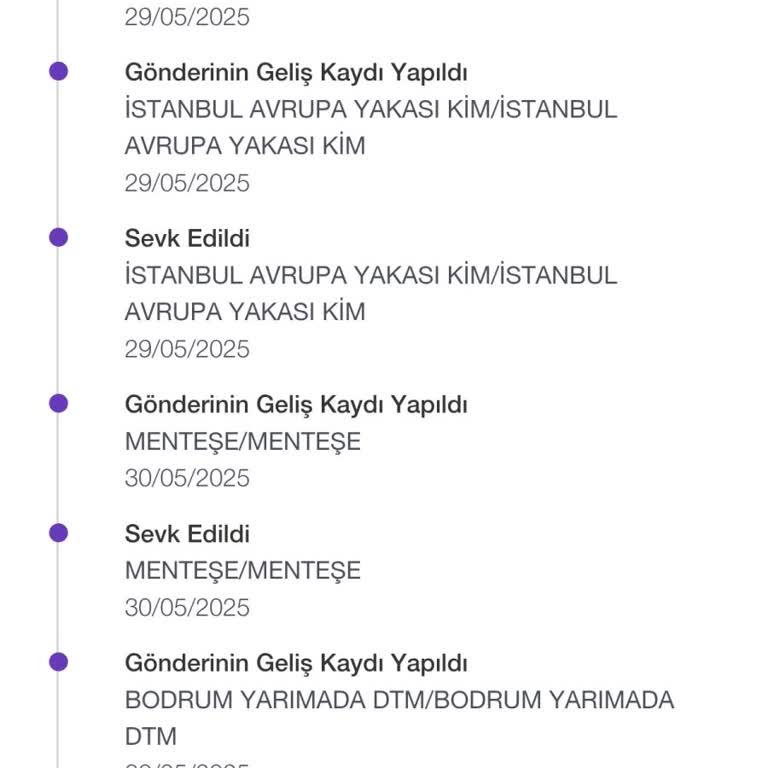 PTT Kargo Bodrum DTM Şubesi'nde Kargom Teslim Edilmiyor