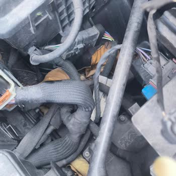 Citroen Sıfır Araçta Motor Yaprak Topluyor Servis Çözüm Sunamıyor