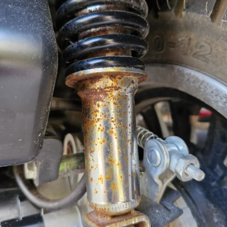 Kuba Brillant 50 Motosikletimde Paslanma Sorunu Ve Servis İlgisizliği