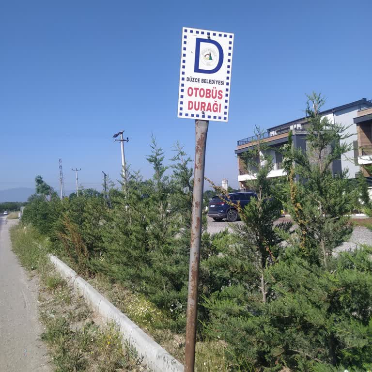 Şoförün Yolcuya Uygunsuz El Kol Hareketleri