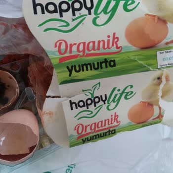 Küflü Yumurta Nedeniyle Yaşadığım Mağduriyet Hala Giderilmedi