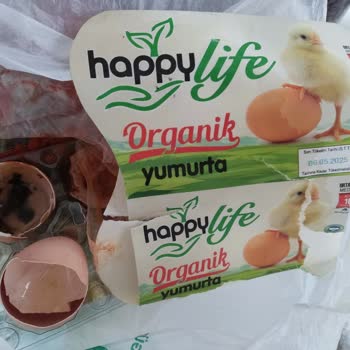 Küflü Yumurta Nedeniyle Yaşadığım Mağduriyet Hala Giderilmedi