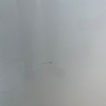 Yeni Alınan Buzdolabının Çizik Teslim Edilmesi Ve Gecikmeli Değişim Süreci