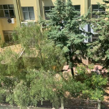 Yenişehir Mersin Anadolu Lisesi Bahçesindeki Çevre Kirliliği