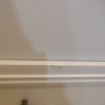 Söz Verilen Teslimat Süresi Ve Kalite Hayal Kırıklığı