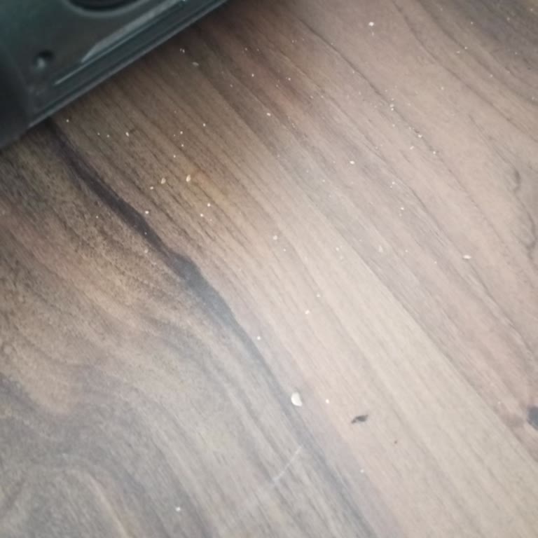 Fakir Şarjlı Süpürge Yeterince Temizlemiyor, Çöpleri Geri Bırakıyor