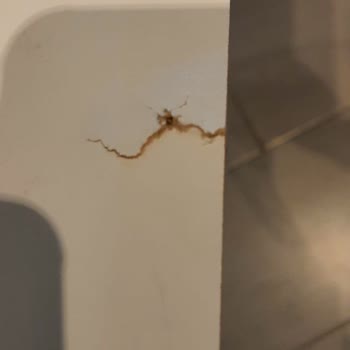 Vivense Eksik Ve Hasarlı Yatak Odası Teslimatı, Değişim Veya İade Talebim Reddedildi