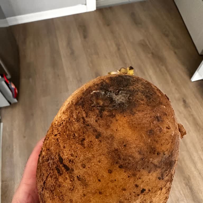 Migros Hemen'den Gelen Patatesler Çürük Ve Kokuyordu