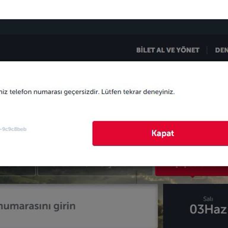 Miles&Smiles Hesabına Giriş Sorunu Nedeniyle Biletlerim Riske Girdi