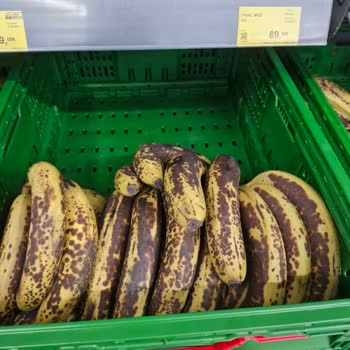 Meyve Sebze Reyonunda Hijyen Ve Tazelik Sorunu