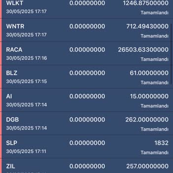 Bitexen'de Para Çekim Sorunu Ve İletişimsizlik Yaşadım