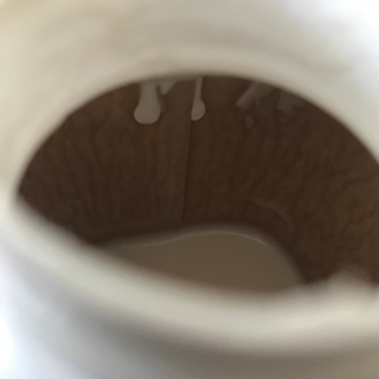 Sek Aktif Probiyotik Kefirde Ekşi Koku Ve Gariplik