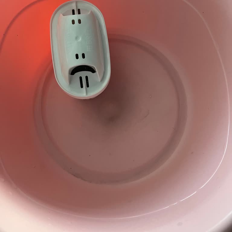 Brita Filtreden Çıkan Siyah Su Şoku