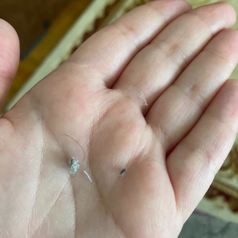 Halı Temizliğinde Toz Ve Kıl Sorunu: Beklentinin Çok Altında Hizmet