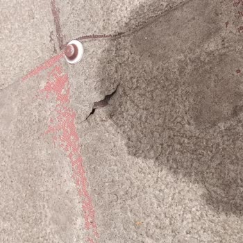 Aldığım Çatı Kaplaması Kısa Sürede Çürüdü, Garanti Karşılanmadı