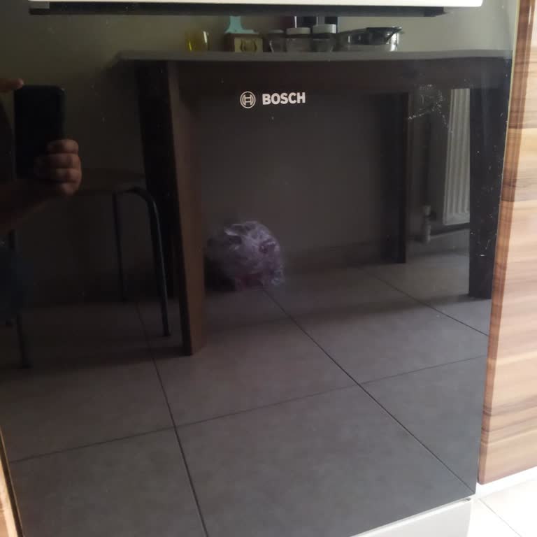 Bosch Garanti Uzatma Sürecinde Yaşanan İletişim Ve Sistem Sorunları