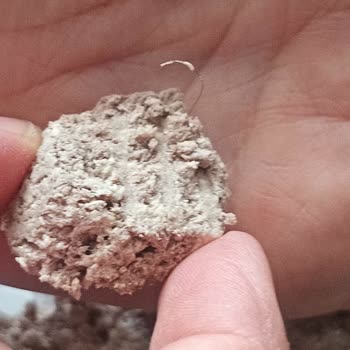 Aldığım Helvanın İçinden Kıl Çıktı, Firma İlgisiz Kaldı