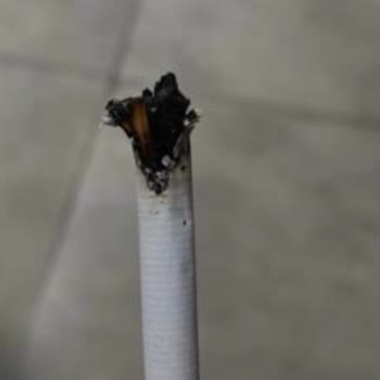 Marlboro Touch Blue Sigara İçerisinden Sürekli Odun Parçası Çıkıyor, Çözüm Bekliyorum