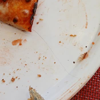 Pizzada Kıl Çıkması Hijyen Konusunda Endişe Yarattı