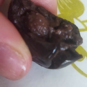 Zeytin Ürününde Yabancı Madde Şikayeti