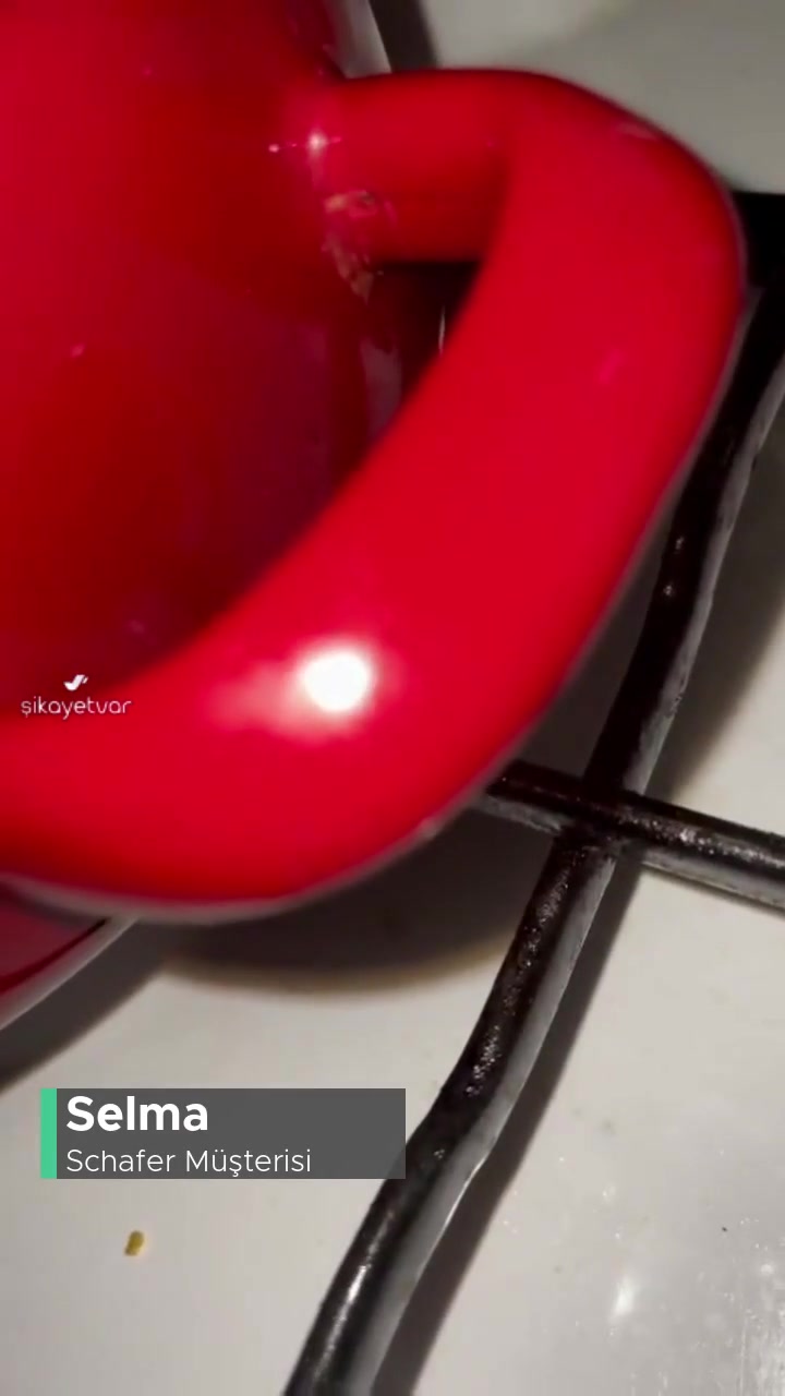 Schafer Ürün Defosu Ve Kontrolsüzlük videonun kapak resmi