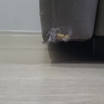 Teslimat Sorunları Ve Kalitesiz Ürün Deneyimi