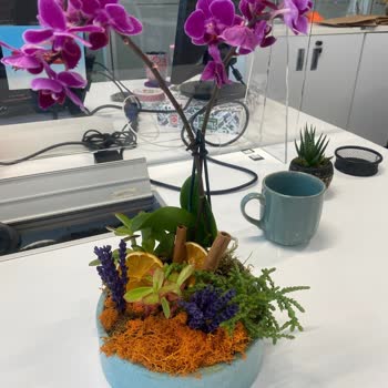 Sipariş Edilen Çiçek İle Teslim Edilen Ürün Farklı, İade Taleplerim Dikkate Alınmadı