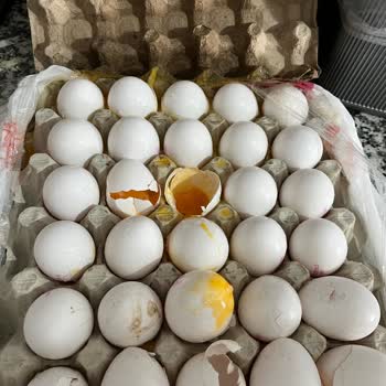 Migros Hemen'den Kırık Yumurta Teslimatı Ve Yetersiz Destek