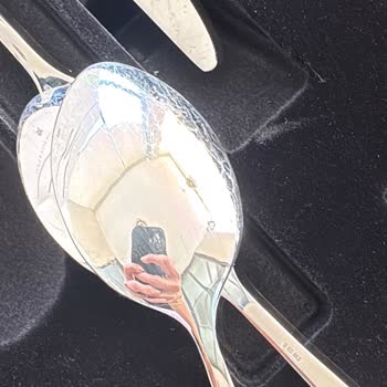 WMF Alman Çeliği Diye Satılan Çatal Bıçak Takımı 2 Ayda Kullanılamaz Hale Geldi