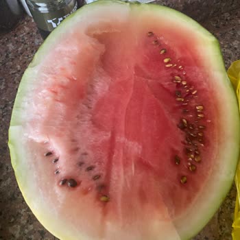 Aldığım Karpuz Bozuk Çıktı, İade İçin Yardımcı Olunmadı