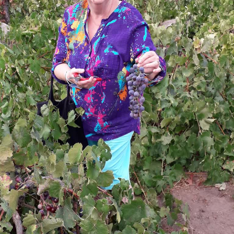 Otobüs Arızası Ve Organizasyon Eksikliği Nedeniyle Mağduriyet Yaşadık