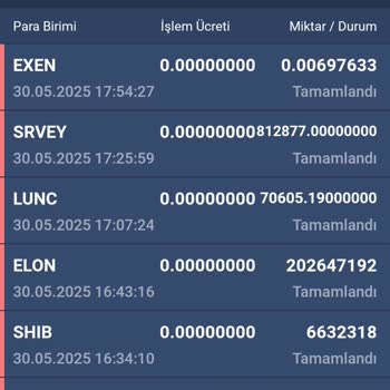 Bitexen Hesabım Güvenlik Açığıyla Boşaltıldı, Acil Çözüm Bekliyorum