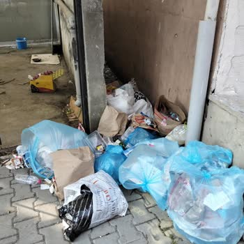 Çöpler Garaj Kapımıza Bırakılıyor, Kokudan Durulmuyor!