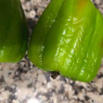 A101 Online Siparişte Gönderilen Sebzeler Kullanılamaz Durumda