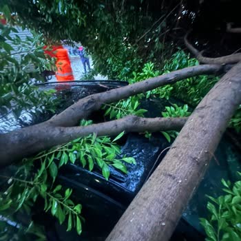 Cupra, insatisfacción con Basaran, sin solución tras reclamo por mal servicio