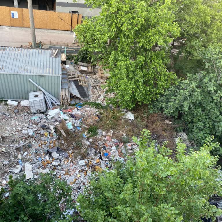 Apartmanımızda Bitmeyen Kertenkele Ve Pire İstilasına Çözüm Bekliyoruz