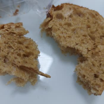 Tam Buğday Ekmeğinden Tahta Parçası Çıktı, Sağlık Riski Yaşadım