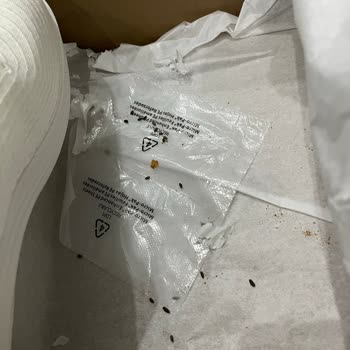 Aldığım Ayakkabının İçinden Hayvan Dışkısı Çıktı, Sağlığımız Tehlikede